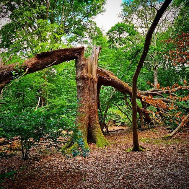 Oak Valley Lodges & Camping Pett Esterno foto